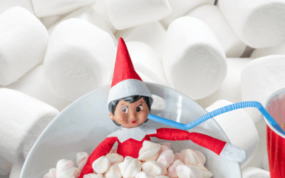 Elf on the Shelf Printables from Polk County Moms