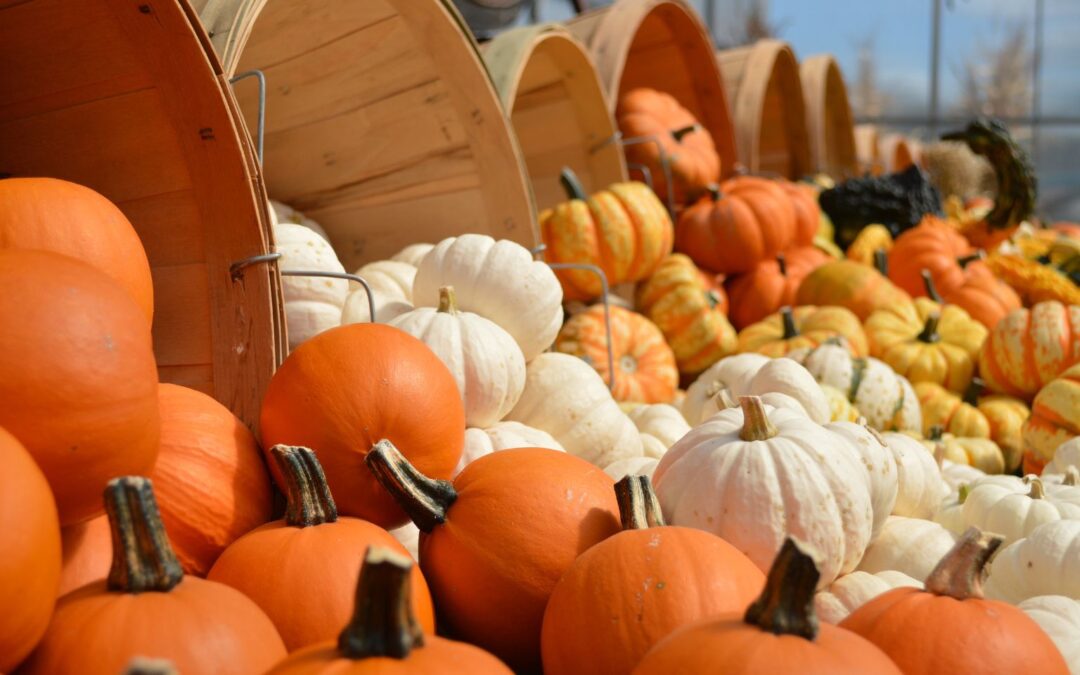 All the Fall Things – Polk County Edition
