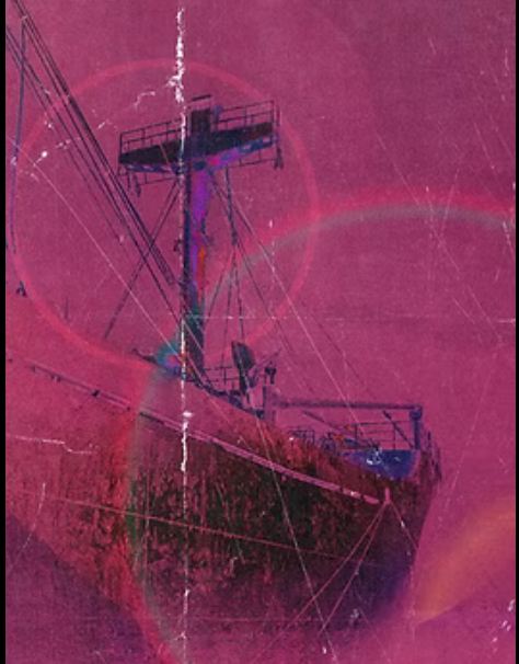 UNDead in the Water 2025: Tampa’s Haunted Ship Attraction Sets Sail for Terror