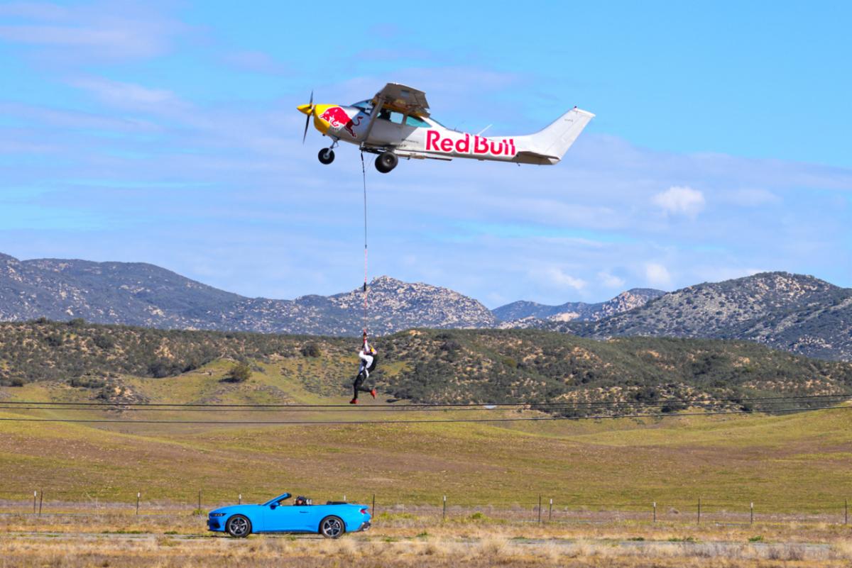 RED BULL